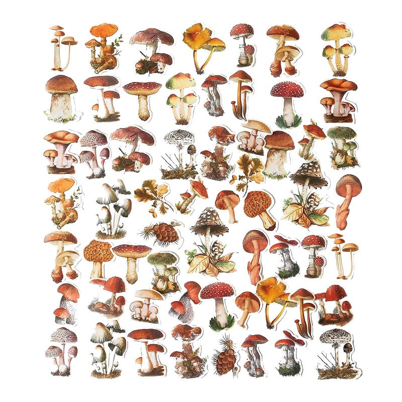 Doraking 60PCS Mushroom Laptop Stickers Decals, Doraking DIY Mushroom Plants Decoration Stickers Decals for Windows, Refrigerator, Decoration (Mushroom Collection, 60PCS/Pack) - Image 2